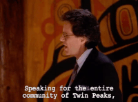 season 2 GIF by Twin Peaks on Showtime