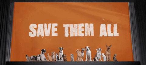 pledge your love save them all GIF by Best Friends Animal Society