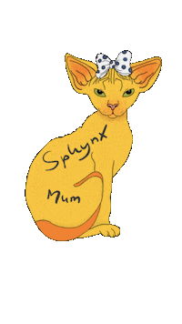 paeddydesign cat sphynx sphynx cat paeddydesign Sticker