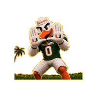 Miami Hurricanes Celebration Sticker