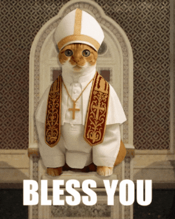 Bless You Cat GIF