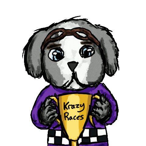 Krazyraces fun car race driving Sticker