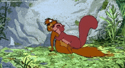 sword in the stone squirrel GIF