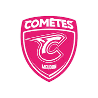 meudonhockeyclub sport logo hockey rose Sticker