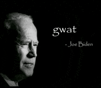 Joe Biden What GIF