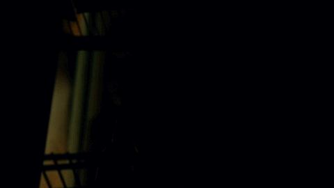 damon wayans GIF by Lethal Weapon