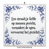 Humor Nl GIF by Tegelspreuken.nl