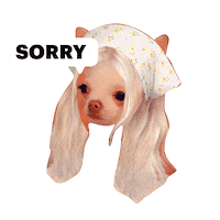 Sorry Oh No Sticker