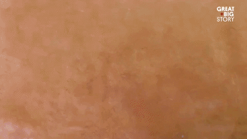 Stop Motion GIF by Great Big Story