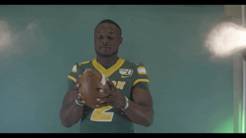 North Dakota State Bison GIF by NDSU Athletics