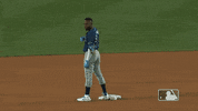Tampa Bay Sport GIF by MLB