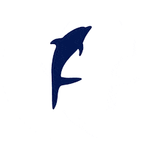 Los Cabos Beach Sticker by Dolphin Discovery