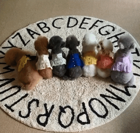 lievelyn24c9 giphyupload GIF