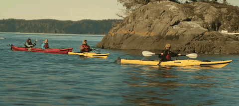 Kayaking Canadian GIF by CanFilmDay