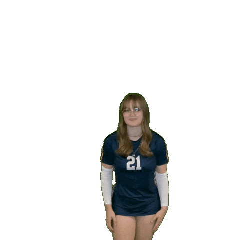 Womens Volleyball Sticker by Clarke University