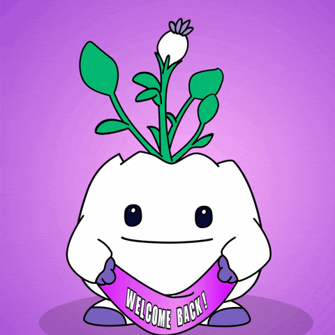 Happy Come Back GIF by Magic Eden