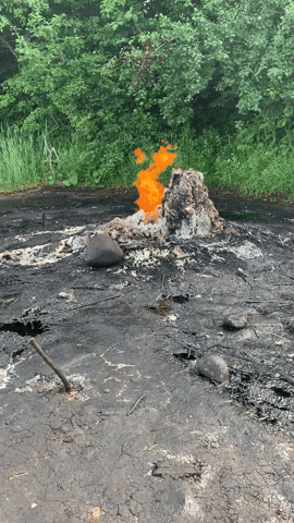 Markusehner123 giphyupload GIF