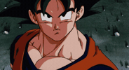 Dragon Ball Z GIF