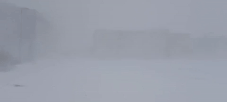 Whiteout Conditions in Oswego as Lake-Effect Bands Persist