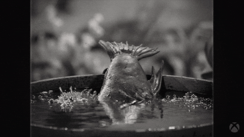 Bethesda Softworks Loop GIF by Xbox