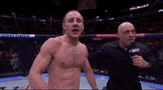 Mixed Martial Arts Sport GIF by UFC