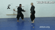 waki gatame GIF by AKBAN Academy