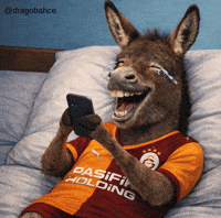 Galatasaray Gala GIF