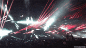 party life GIF