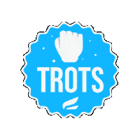 CSEtopsportacademie cse zwolle cse topsportacademie cse trots cse trots logo Sticker