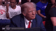 Donald Trump Sport GIF by UFC