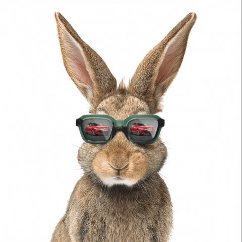 volkswagen_at giphyupload cars rabbit volkswagen GIF