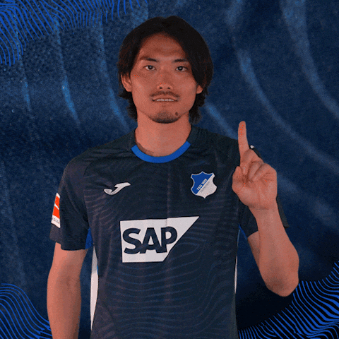 Sport Bundesliga GIF by TSG Hoffenheim