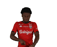 Ligue 2 Football Sticker by EA Guingamp