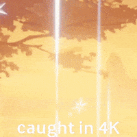 Photo Camera GIF