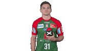 Handball-Bundesliga Handball Sticker by LIQUI MOLY HBL