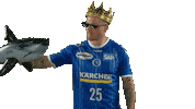 Handball-Bundesliga Handball Sticker by LIQUI MOLY HBL
