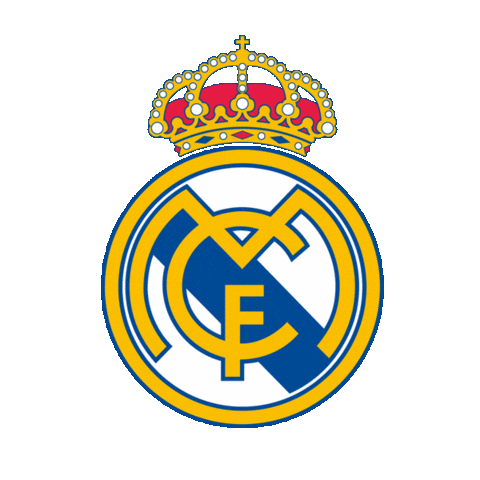 Real Madrid Sticker by EuroLeague
