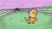 Boxing Box GIF by Francisco Negrello