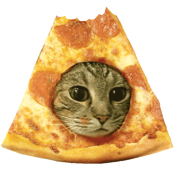 Cat Meme Sticker by the pizzacat