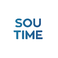 Time Veiculos Sticker by Rota System