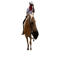 Country Boy Sticker by Cowboy5