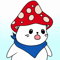 Fun Wow GIF by Sappy Seals Community