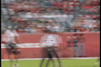 Temple Football GIF by Temple Owls