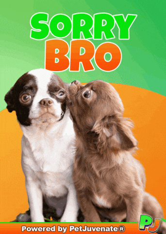 PetJuvenate petjuvenate henlo hooman fren love rescue dogs treatos and woofer for pupper GIF