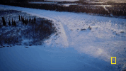 natgeochannel life below zero GIF