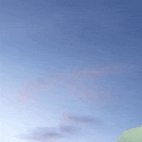 swiss army man GIF by GIPHY CAM