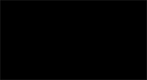 ANALORENABRIDAL giphygifmaker GIF