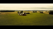 wisconsin GIF