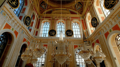 anmolsachdeva giphyupload GIF