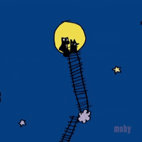 Little Idiot GIF by Moby